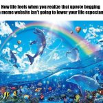 Mfs be raging about clicking a damn button. | How life feels when you realize that upvote begging on a meme website isn't going to lower your life expectancy: | image tagged in happy dolphin rainbow,ragebait | made w/ Imgflip meme maker