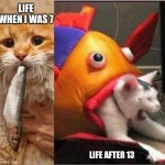 Fish eating cat | LIFE WHEN I WAS 7; LIFE AFTER 13 | image tagged in fish eating cat | made w/ Imgflip meme maker