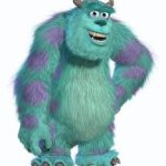 Sulley (Monsters Inc)