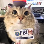 fbi cat