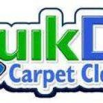 QuikDri Logo
