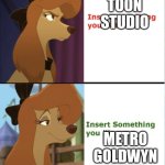 Disney vs MGM | DISNEY TOON STUDIO; METRO GOLDWYN MAYER | image tagged in dixie drake meme,reba mcentire,the fox and the hound 2 | made w/ Imgflip meme maker