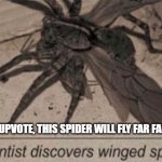 Not an upvote beggar. Just upvote if you are terrified of spiders. Or even remotely scared. | IF YOU UPVOTE, THIS SPIDER WILL FLY FAR FAR AWAY. | image tagged in spider | made w/ Imgflip meme maker