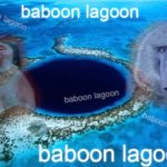 baboon lagoon