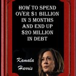 Kamala's New Book meme