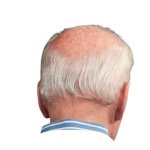 joe biden back of head