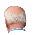 Joe Biden back head