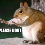 dont do it | PLEASE DONT | image tagged in whoa now squirrel | made w/ Imgflip meme maker