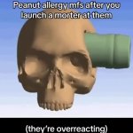 Peanut mortar mfs GIF Template