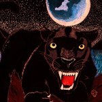 NightCat