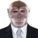 Formal Monkey