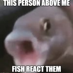 fish | THIS PERSON ABOVE ME; FISH REACT THEM | image tagged in poggers fish,memes,funny,funny memes,react,fun stream | made w/ Imgflip meme maker