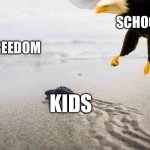 Kids freedom | SCHOOL; FREEDOM; KIDS | image tagged in turtle bird,kids,school,school meme | made w/ Imgflip meme maker