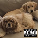 Gnocchi and Henry’s first studio album