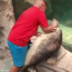 Kid beating a fish meme