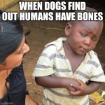 Third World Skeptical Kid | WHEN DOGS FIND OUT HUMANS HAVE BONES | image tagged in memes,third world skeptical kid | made w/ Imgflip meme maker