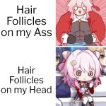 Hair Follicles:"We're doing a little trolling." | Hair Follicles on my Ass; Hair Follicles on my Head | image tagged in hair,head,ass | made w/ Imgflip meme maker