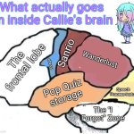 I'll Do More of the OGs in the Future | What actually goes on inside Callie's brain; Wanderlust; Sanrio; The frontal lobe; An ego; Pop Quiz storage; Speech Process-inator; The "I Forgot" Zone | image tagged in actual image of the inside of my brain | made w/ Imgflip meme maker