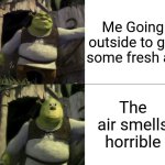 Is someone smoking or something? | Me Going outside to get some fresh air; The air smells horrible | image tagged in shocked shrek face swap,air,smell | made w/ Imgflip meme maker