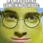 FR | MY MIND DURING SOMETHING SERIOUS: | image tagged in goofy ahh shrek | made w/ Imgflip meme maker