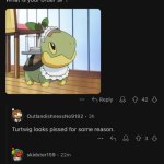 Turtwig is rightfully angry