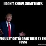 Grab Them By The Pussy Trump