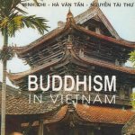 Buddhism in Vietnam.