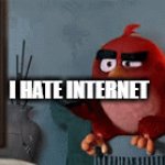 Hate internet | I HATE INTERNET | image tagged in gifs,angry birds | made w/ Imgflip video-to-gif maker