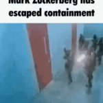 He is to dangerous | image tagged in gifs,mark zuckerberg,memes,funny,prison | made w/ Imgflip video-to-gif maker