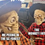 Monkey’seye | THE MONKEY I HIT; ME PEEING IN THE SC FOREST | image tagged in scare down alt | made w/ Imgflip meme maker