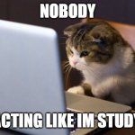 like im not making memes u are | NOBODY; ME ACTING LIKE IM STUDYING | image tagged in cat laptop | made w/ Imgflip meme maker