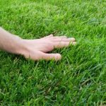 Touching grass