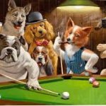 Dogs Shooting Pool