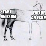 The last part of my exams look rushed lol | START OF AN EXAM; END OF AN EXAM | image tagged in horse drawing | made w/ Imgflip meme maker