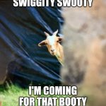 Lurking goat | SWIGGITY SWOOTY; I'M COMING FOR THAT BOOTY | image tagged in 90 day goat | made w/ Imgflip meme maker