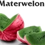 Materwelon Watermelon
