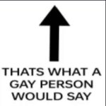 That's what a gay person would say meme