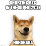 hahadog | SHORTING BTC IN THE SUPERCYCLE; HAHAHAHA | image tagged in hahadog | made w/ Imgflip meme maker