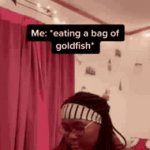 I wonder how they taste | image tagged in gifs,petco,goldfish,funny,memes,fish | made w/ Imgflip video-to-gif maker