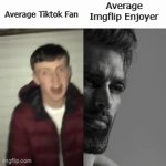 Fan vs Enjoyer | Average Tiktok Fan; Average Imgflip Enjoyer | image tagged in gifs,average fan vs average enjoyer | made w/ Imgflip video-to-gif maker