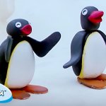 Pingu laugh