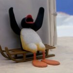 Pingu despair