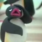 Pingu oh no