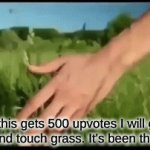 Touch grass | if this gets 500 upvotes I will go outside and touch grass. It's been three years | image tagged in gifs,oh wow are you actually reading these tags | made w/ Imgflip video-to-gif maker