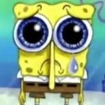SPONGE SPONGE