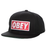 Obey Cap