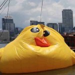 Deflated Duck