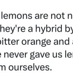 Lemons