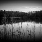 Inspiration | image tagged in inspiration,inspirational,lake,black and white,meme | made w/ Imgflip meme maker