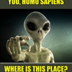 Alert, Alert, Alert.. Looking for intelligence | YOU, HOMO SAPIENS; WHERE IS THIS PLACE? | image tagged in you,memes,imgflip,old imgflip,where's everyone | made w/ Imgflip meme maker